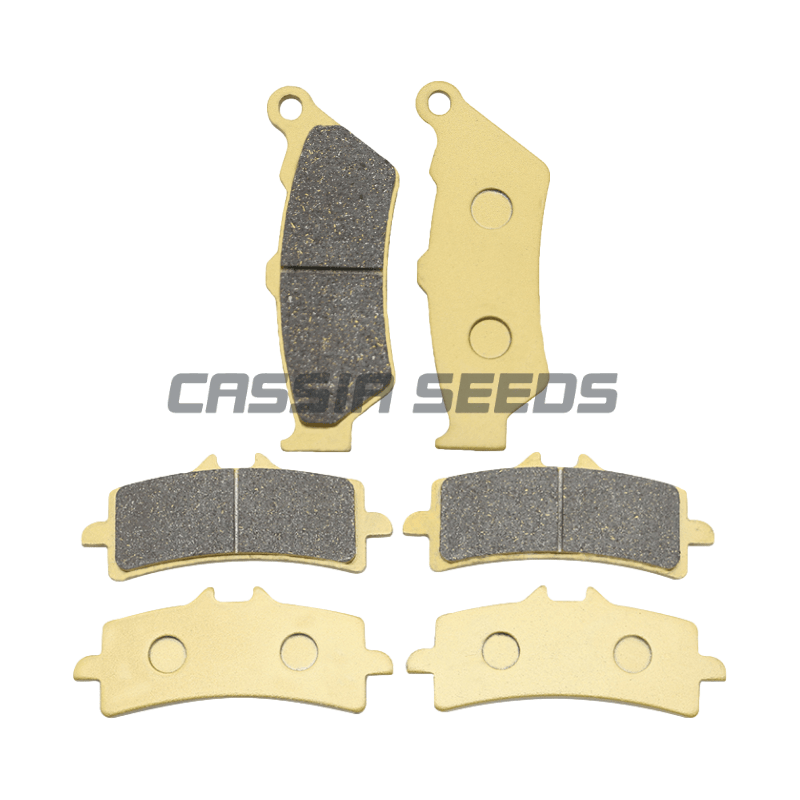 รถจักรยานยนต์ด้านหน้าและด้านหล - Carbon Ceramic Motorcycle Brake Rotor บทวิจารณ์และราคา
