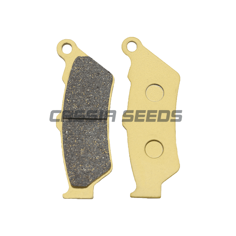 รถจักรยานยนต์ด้านหน้าและด้านหล - Carbon Ceramic Motorcycle Brake Rotor บทวิจารณ์และราคา